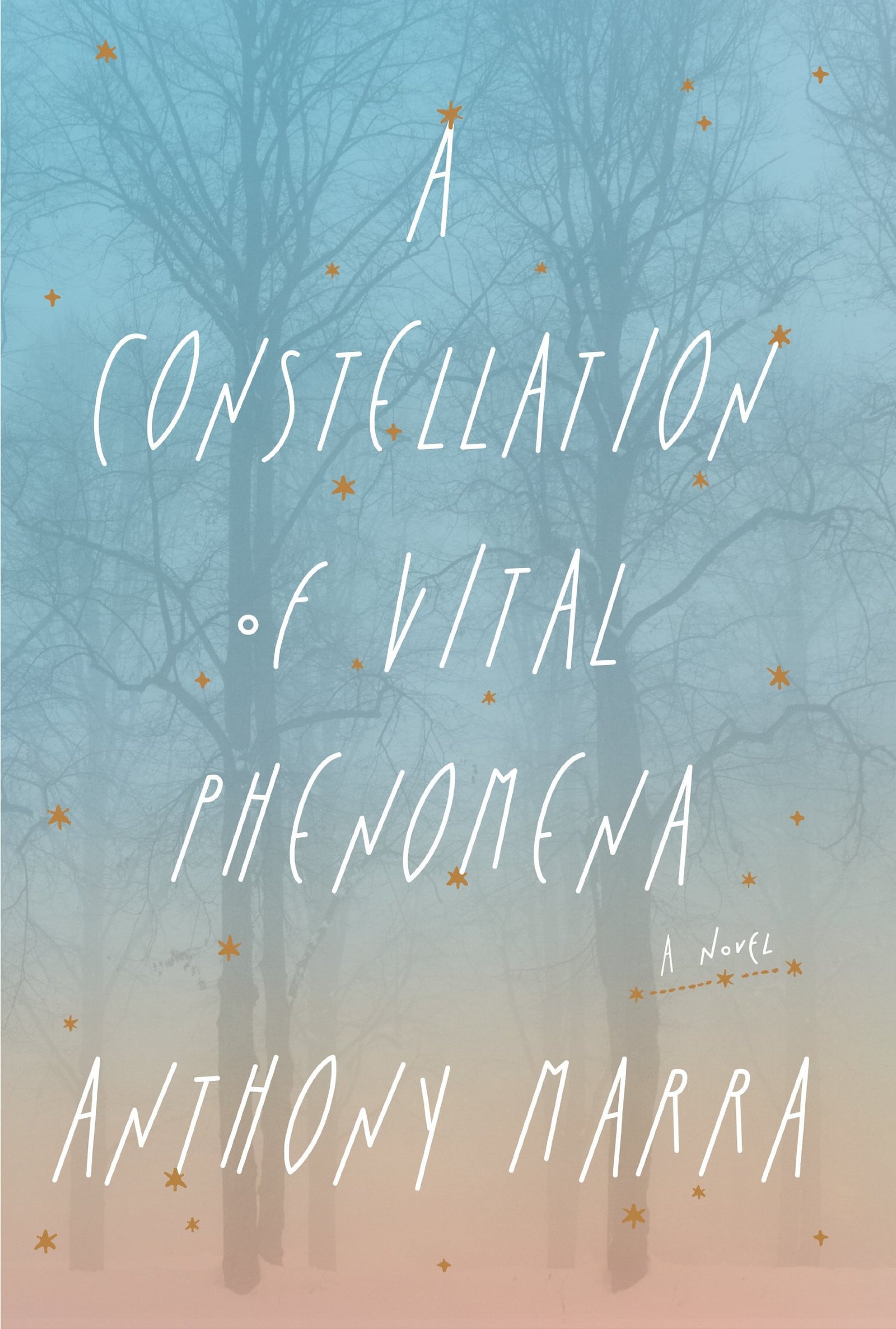 Cover of A Constellation of Vital Phenomena by Anthony Marra
