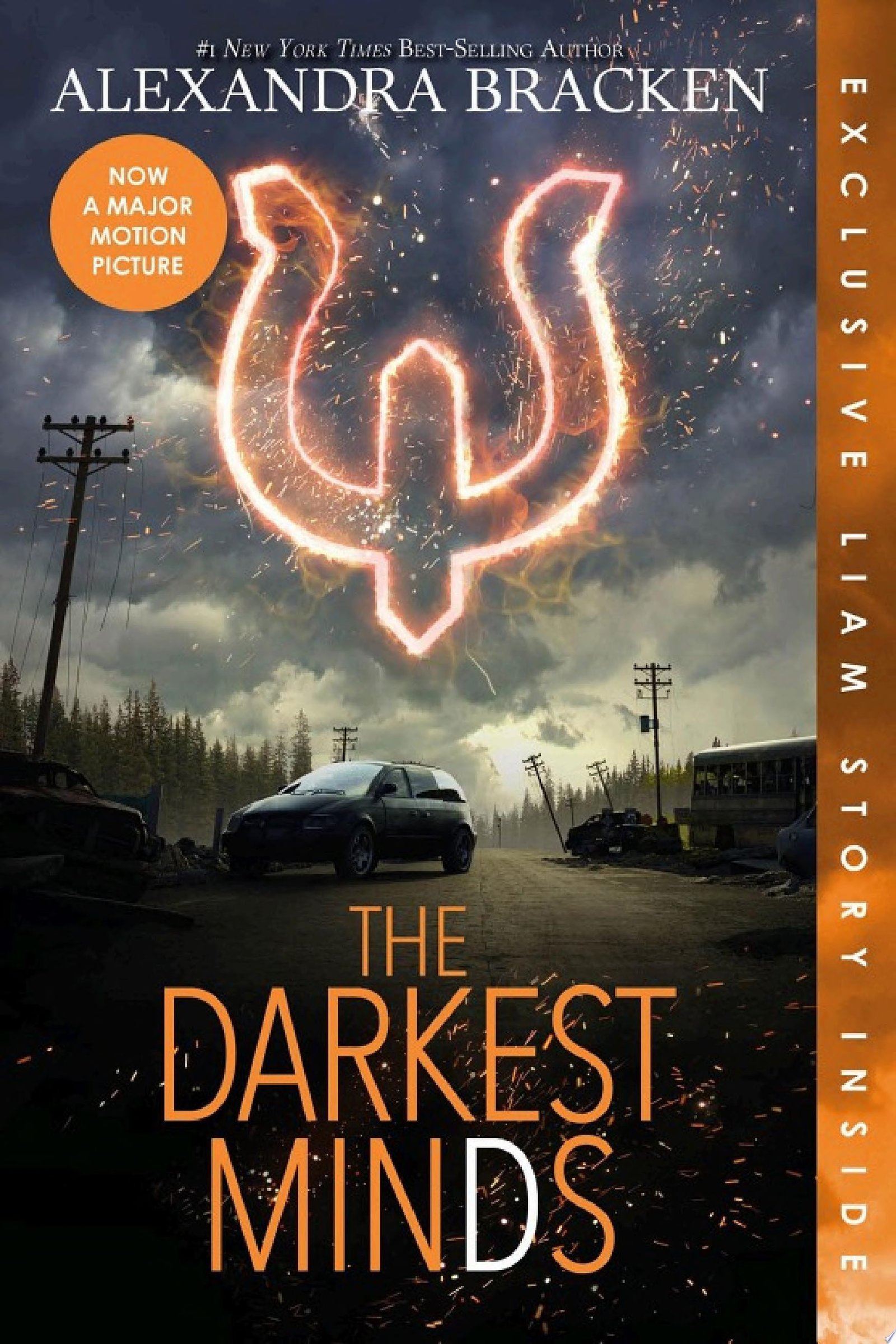Cover of The Darkest Minds by Alexandra Bracken