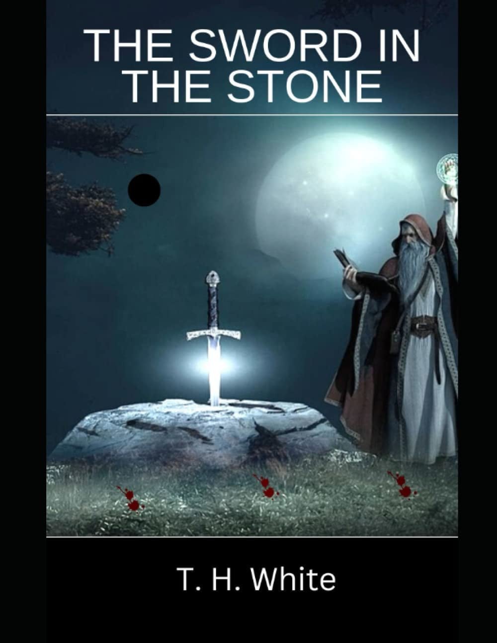 Cover of The Sword in the Stone by T.H. White