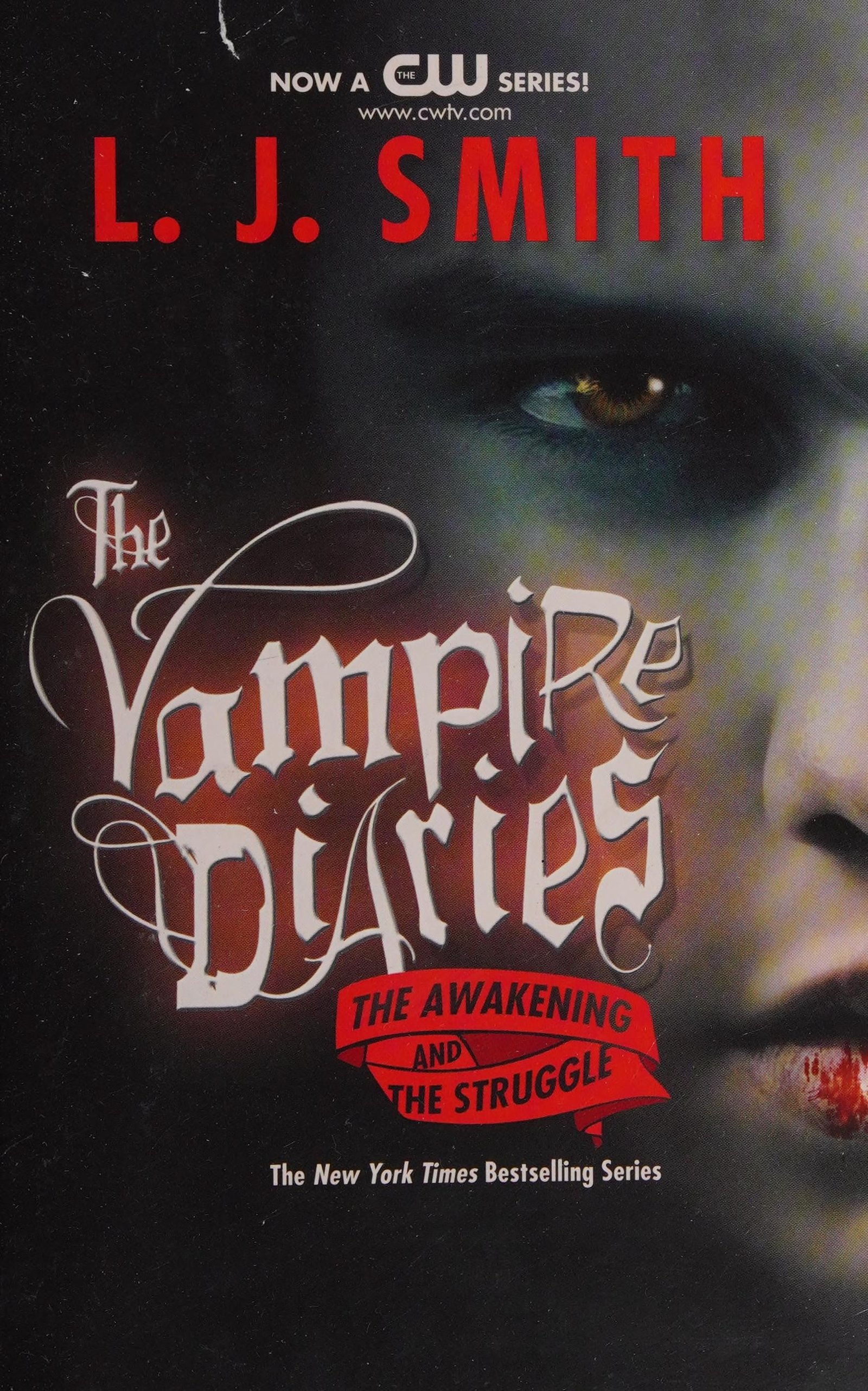 Cover of The Vampire Diaries: The Awakening by L.J. Smith